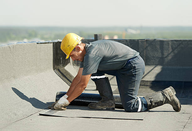 Best Insulation Installation Services in Calumet City, IL